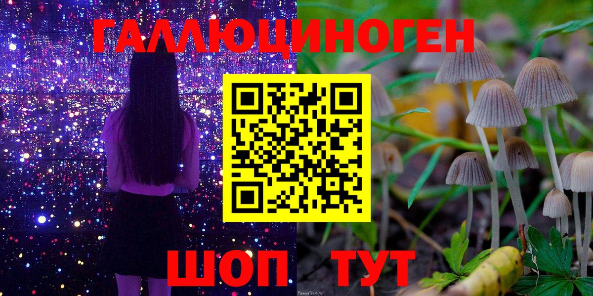 Галлюциногенные грибы ЛСД  Вход с VPN  где найти наркотики  Менделеевск 